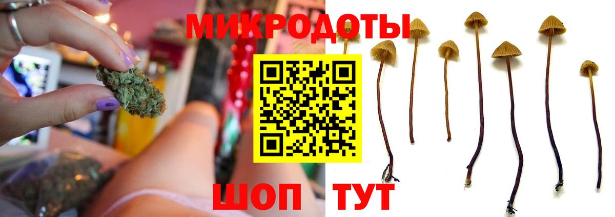 Галлюциногенные грибы Psilocybine cubensis Киреевск