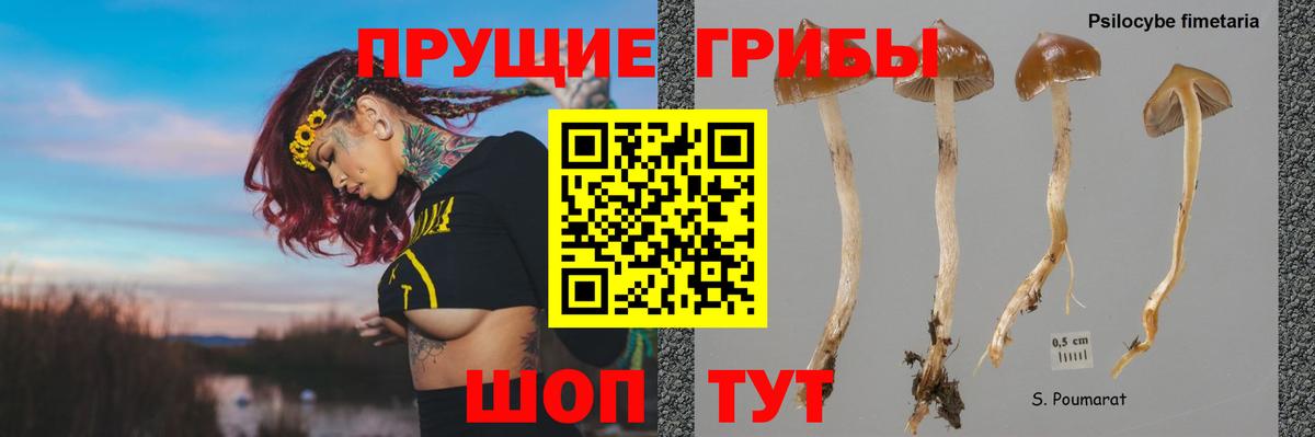 Киреевск  Галлюциногенные грибы мицелий  Вход с VPN  Галлюциногенные грибы прущие грибы 